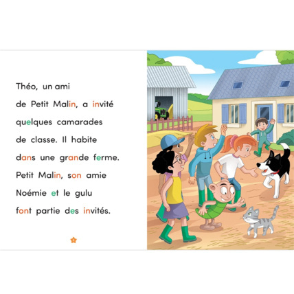 Avis Livre Qui a vu le lapin ? - Apprendre à lire avec Les Alphas ÉDITIONS RÉCRÉALIRE 2