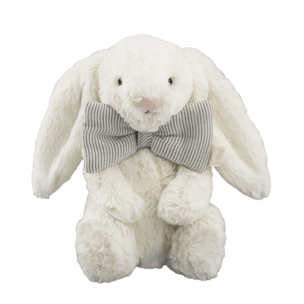 Avis Paulin le Lapin Petit Picotin 6
