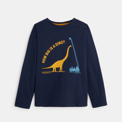 Avis T-shirt manches longues motif dinosaure bleu garçon OKAIDI 1