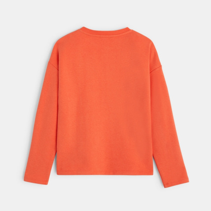 Avis Sweat-shirt brodé motif Girafe orange fille OKAIDI 4