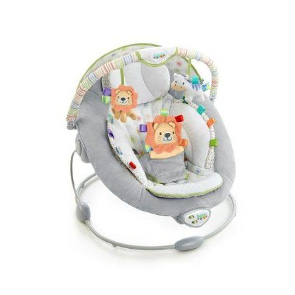 Taggies soft n snug bouncer new arrivals