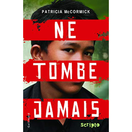 Avis Livre Ne Tombe Jamais GALLIMARD JEUNESSE 1