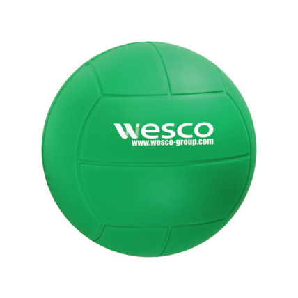Avis Ballon de sport en mousse haute densité Volleyball Wesco 1