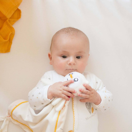 Avis Doudou Violette la chouette Trois Kilos Sept 2