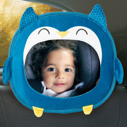 Avis Miroir Hibou DIONO 1