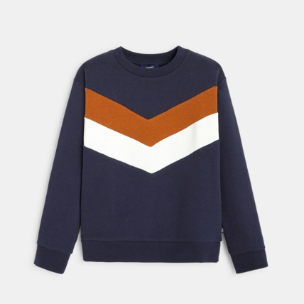 Avis Sweat-shirt tricolore bleu garçon OKAIDI 1