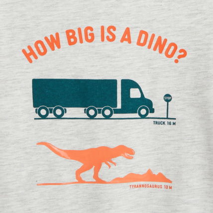 Avis T-shirt manches longues motif dinosaure blanc garçon OKAIDI 2