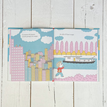 Avis Livre Ma maison Petit Picotin 5