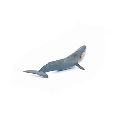 Avis Figurine Baleine bleue SCHLEICH 4