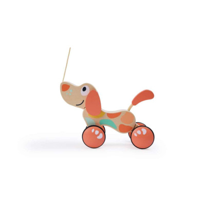 Avis Chien à tirer Puppy HAPE 1