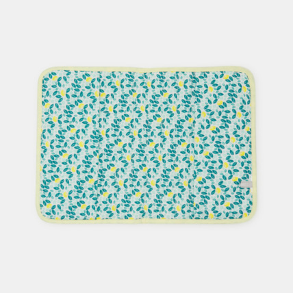 Avis Protège carnet de santé citrons naissance OBAÏBI 2