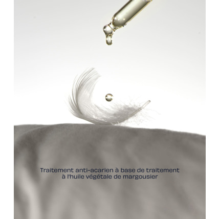 Avis Couette Moelleuse - Toute saison Tediber 5