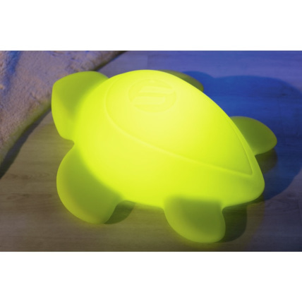 Avis Tortue lumineuse manu Wesco 1