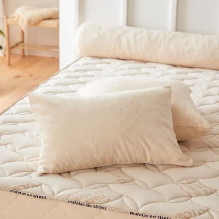 Avis Oreiller Bio ferme Matelas No Stress 1