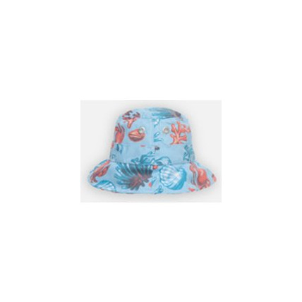 Avis Crabe Chapeau Archimède NOUKIE'S 1