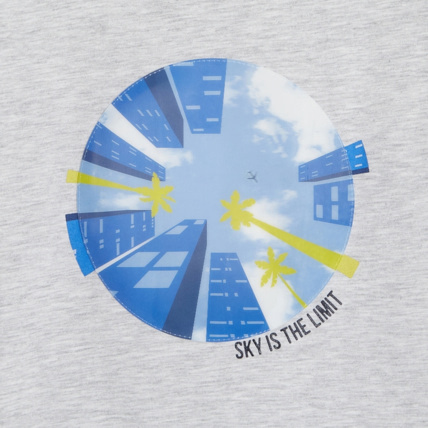 Avis T-shirt avec effet hologramme gris garçon OKAIDI 2