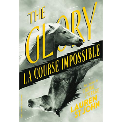 Avis Livre The Glory: La Course Impossible GALLIMARD JEUNESSE 1