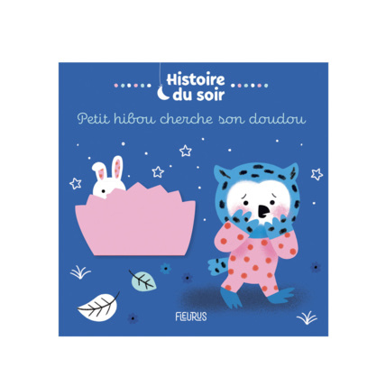 Avis Livre Petit Hibou cherche son doudou FLEURUS 1