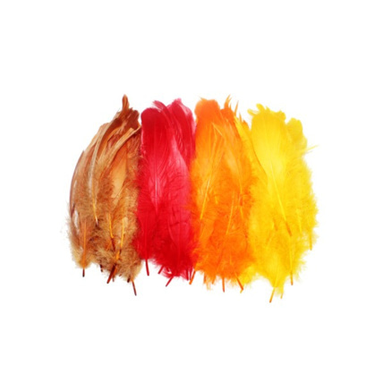 Avis Plumes D'Oie LOOLIPO 1