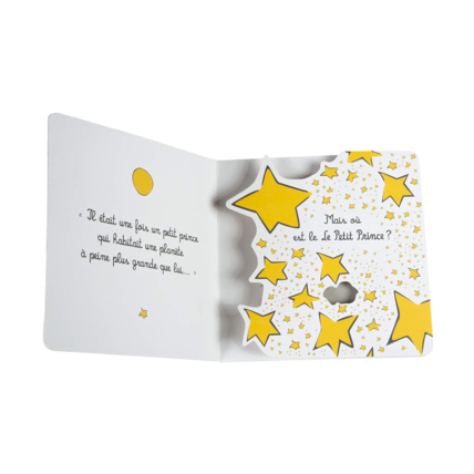 Avis Livre Cache-cache petit prince FLEURUS 2