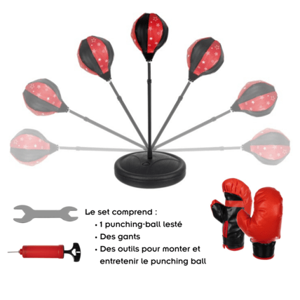Avis Set de boxe punching ball avec sac de frappe et gants PIO ISO TRADE 2