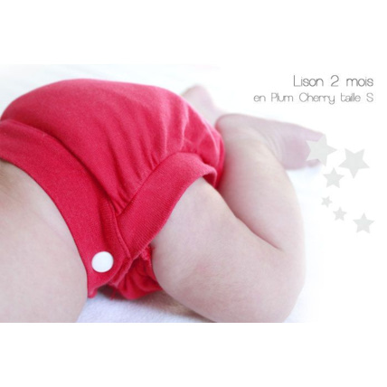 Avis Couche lavable TE2 Plum P'TITS DESSOUS 1