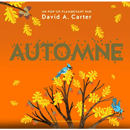 Avis Livre Automne - Pop-Up - A Partir De 3 Ans GALLIMARD JEUNESSE 1