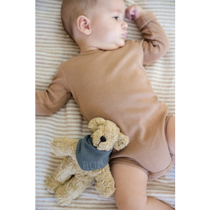 Avis Orso l'ourson Petit Picotin 2