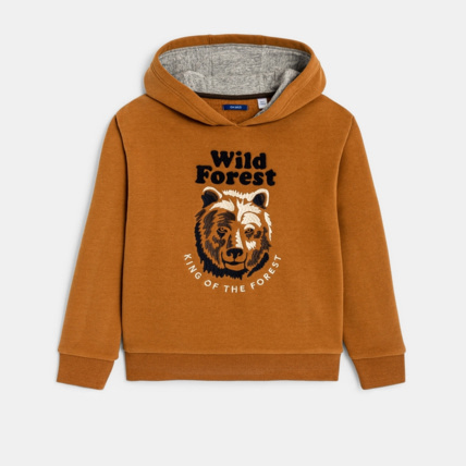 Avis Sweat-shirt à capuche motif tigre orange garçon OKAIDI 1