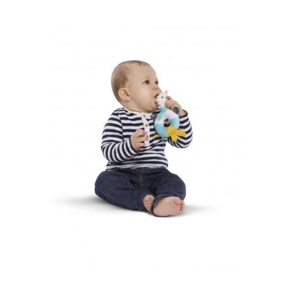 Avis Hochet Shake & Chew Sophie la girafe VULLI 2