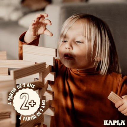 Avis Baril 200 planchettes KAPLA 5