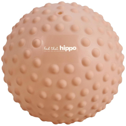 Avis Balle sensorielle Find that hippo 3