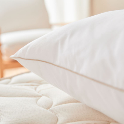 Avis Oreiller naturel en Plume et Duvet Matelas No Stress 3