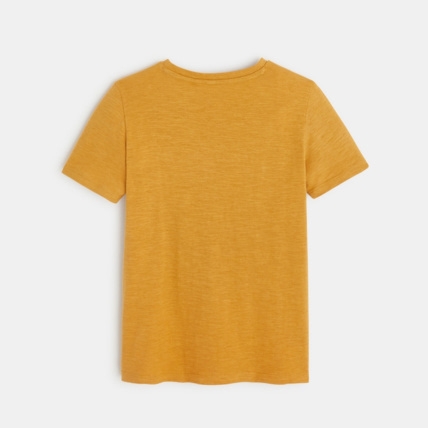 Avis T-shirt coton flammé Afrique jaune garçon OKAIDI 4