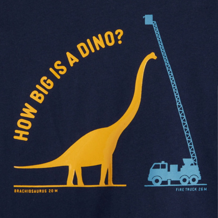 Avis T-shirt manches longues motif dinosaure bleu garçon OKAIDI 2