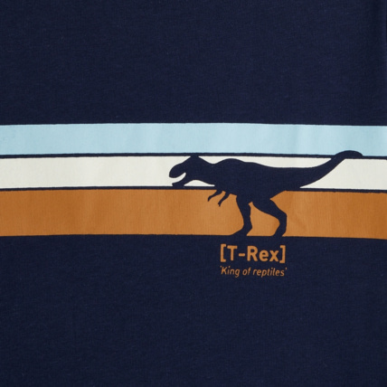 Avis T-shirt manches courtes motif dinosaure bleu garçon OKAIDI 3