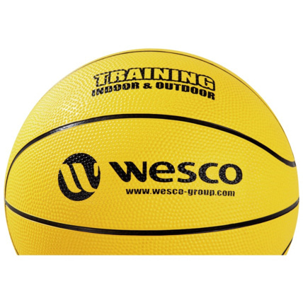 Avis Ballon de basketball training indoor - outdoor Wesco 5
