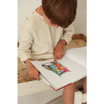 Avis Livre La couleur des émotions Petit Picotin 2