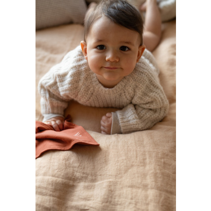 Avis Josépha le doudou plat Petit Picotin 3