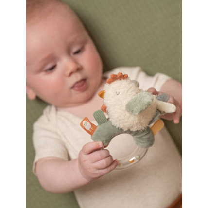 Avis Hochet LITTLE DUTCH 7