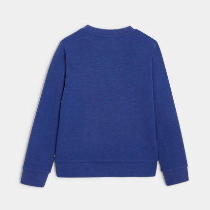 Avis Sweat-shirt "beau voyage" bleu garçon OKAIDI 4