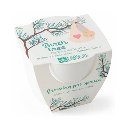 Avis Arbre de naissance à faire pousser Radis et Capucine 1