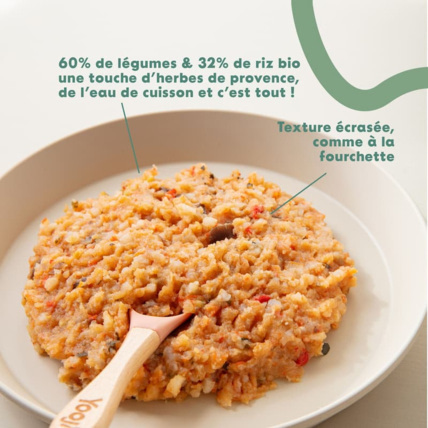 Avis Écrasé Ratatouille : purée morceaux & riz Yooji 2