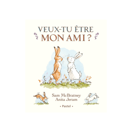 Avis Livre Veux-tu être mon ami Petit Picotin 6