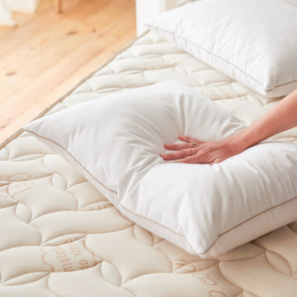 Avis Oreiller naturel en Plume et Duvet Matelas No Stress 1