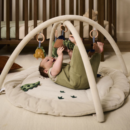 Avis Arche D'éveil Pour «Dino» Petite Amélie 2