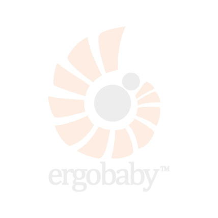Avis Panier pour Poussette Metro+ Ergobaby 2