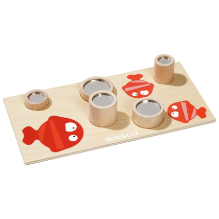 Avis Encastrement miroir les poissons Wesco 1