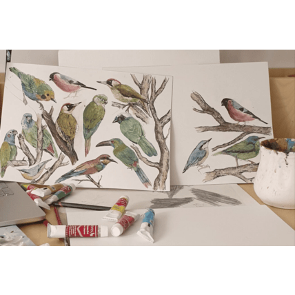 Avis Cape de bain Ornithology Mon Lit Cabane 5