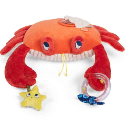 Avis Grand crabe d'activités Les aventures de Paulie moulin Roty 1